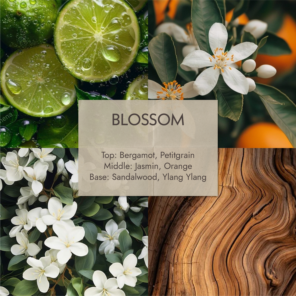 BLOSSOM — Jasmine & Orange Blossom