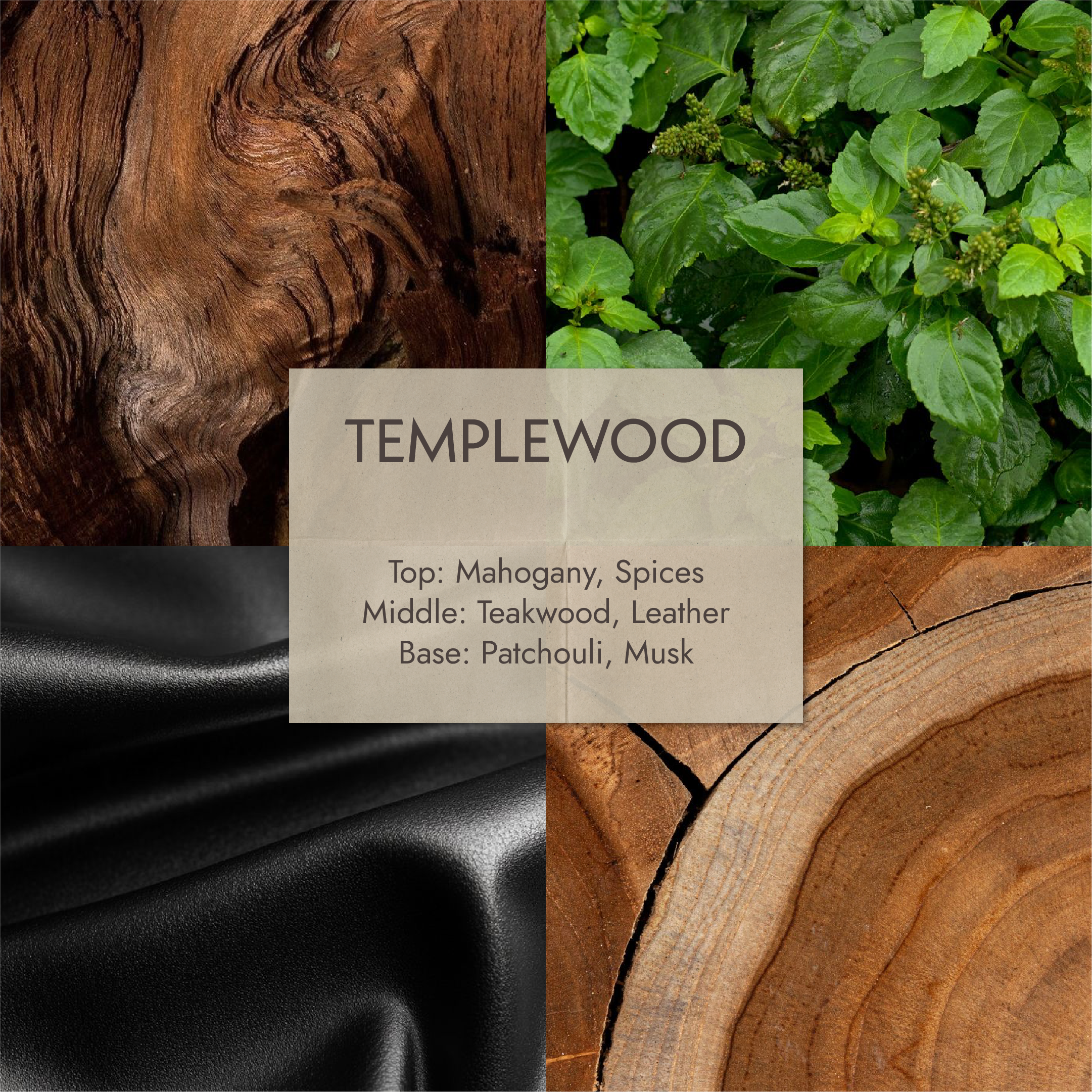 TEMPLEWOOD — Mahogany & Teakwood