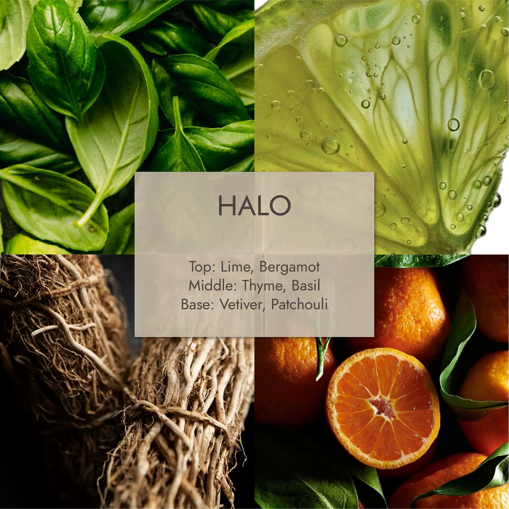 HALO — Lime Basil & Mandarin