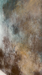 STORM VEIL